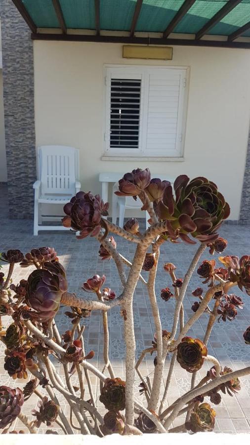Panorama Beach House, 5 Meters To The Sea Perivolia Exterior foto